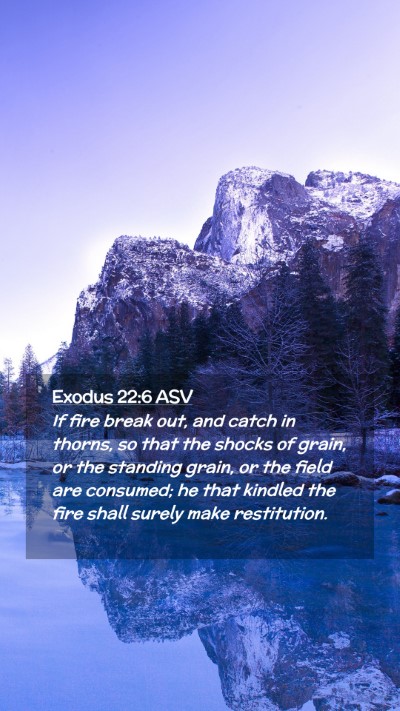 Picture 02 - Exodus 22:6 ASV Mobile Phone Wallpaper - If fire break out, and catch in thorns, so that - Mobile Bible Verse Wallpaper