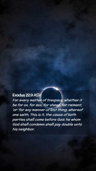Picture 02 - Exodus 22:9 ASV Mobile Phone Wallpaper - For every matter of trespass, whether it be for - Mobile Bible Verse Wallpaper