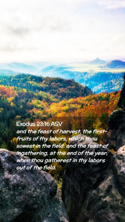 Picture 02 - Exodus 23:16 ASV Mobile Phone Wallpaper - and the feast of harvest, the first-fruits of thy - Mobile Bible Verse Wallpaper