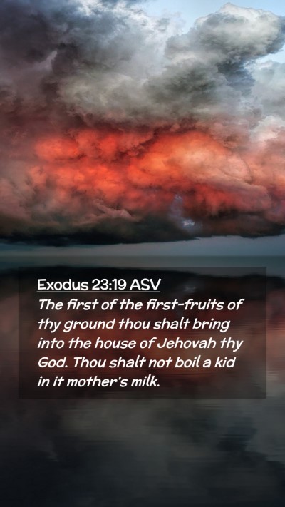 Picture 02 - Exodus 23:19 ASV Mobile Phone Wallpaper - The first of the first-fruits of thy ground thou - Mobile Bible Verse Wallpaper