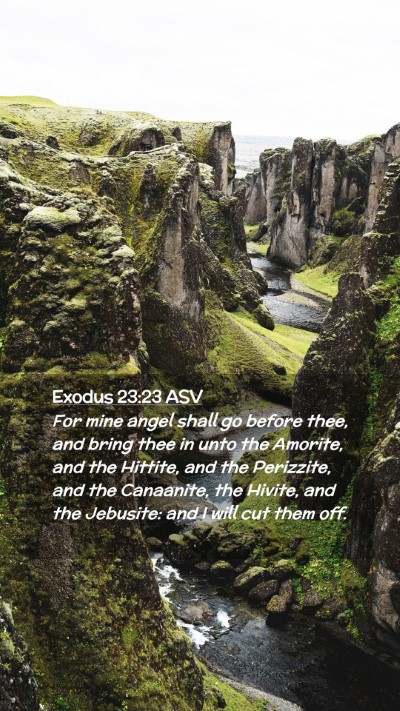Picture 02 - Exodus 23:23 ASV Mobile Phone Wallpaper - For mine angel shall go before thee, and bring - Mobile Bible Verse Wallpaper