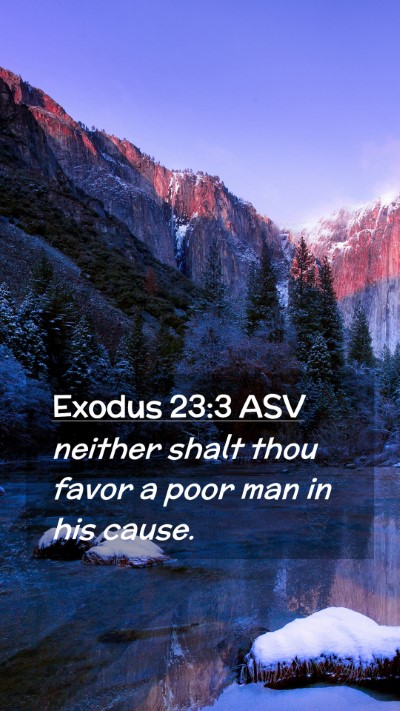 Picture 02 - Exodus 23:3 ASV Mobile Phone Wallpaper - neither shalt thou favor a poor man in his - Mobile Bible Verse Wallpaper
