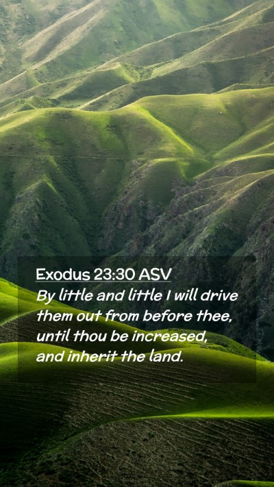 Picture 02 - Exodus 23:30 ASV Mobile Phone Wallpaper - By little and little I will drive them out from - Mobile Bible Verse Wallpaper