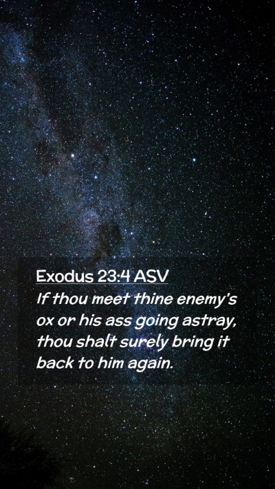 Picture 02 - Exodus 23:4 ASV Mobile Phone Wallpaper - If thou meet thine enemy's ox or his ass going - Mobile Bible Verse Wallpaper