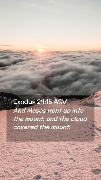 Picture 02 - Exodus 24:15 ASV Mobile Phone Wallpaper - And Moses went up into the mount, and the cloud - Mobile Bible Verse Wallpaper