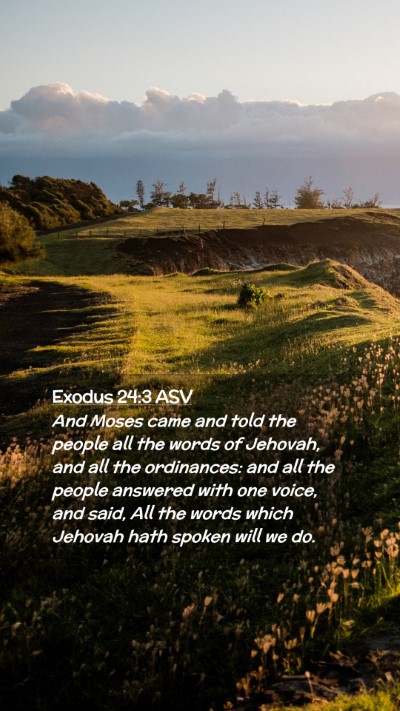 Picture 02 - Exodus 24:3 ASV Mobile Phone Wallpaper - And Moses came and told the people all the words - Mobile Bible Verse Wallpaper