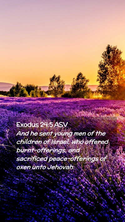 Picture 02 - Exodus 24:5 ASV Mobile Phone Wallpaper - And he sent young men of the children of Israel, - Mobile Bible Verse Wallpaper