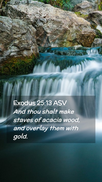 Picture 02 - Exodus 25:13 ASV Mobile Phone Wallpaper - And thou shalt make staves of acacia wood, and - Mobile Bible Verse Wallpaper