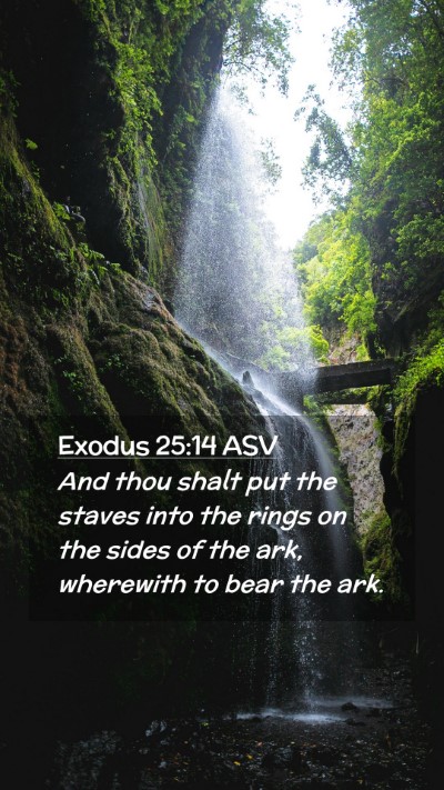 Picture 02 - Exodus 25:14 ASV Mobile Phone Wallpaper - And thou shalt put the staves into the rings on - Mobile Bible Verse Wallpaper