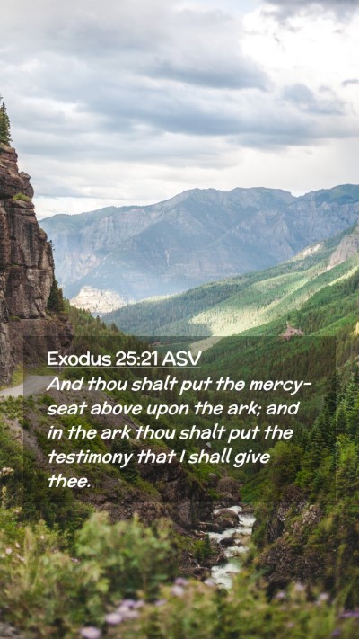 Picture 02 - Exodus 25:21 ASV Mobile Phone Wallpaper - And thou shalt put the mercy-seat above upon the - Mobile Bible Verse Wallpaper