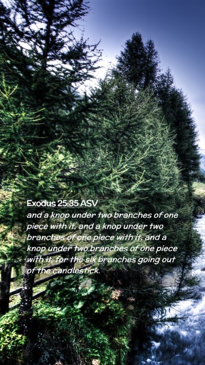 Picture 02 - Exodus 25:35 ASV Mobile Phone Wallpaper - and a knop under two branches of one piece with - Mobile Bible Verse Wallpaper