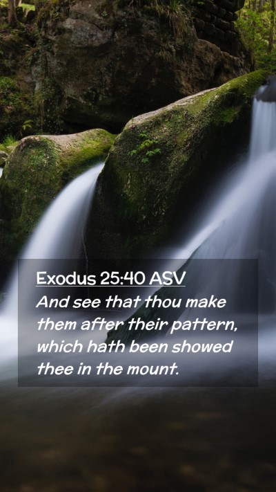 Picture 02 - Exodus 25:40 ASV Mobile Phone Wallpaper - And see that thou make them after their pattern, - Mobile Bible Verse Wallpaper