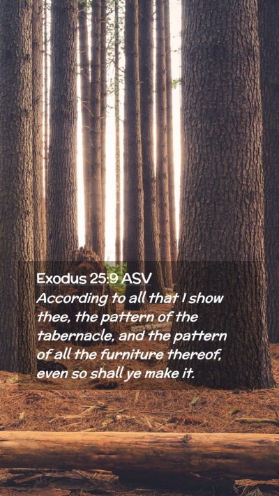 Picture 02 - Exodus 25:9 ASV Mobile Phone Wallpaper - According to all that I show thee, the pattern of - Mobile Bible Verse Wallpaper