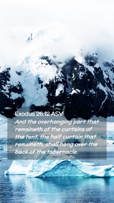 Picture 02 - Exodus 26:12 ASV Mobile Phone Wallpaper - And the overhanging part that remaineth of the - Mobile Bible Verse Wallpaper