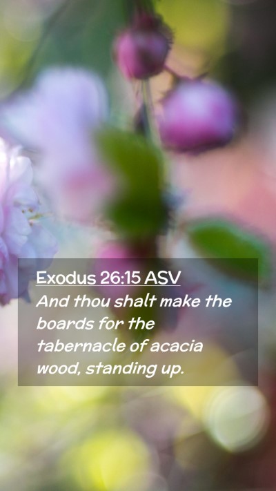 Picture 02 - Exodus 26:15 ASV Mobile Phone Wallpaper - And thou shalt make the boards for the tabernacle - Mobile Bible Verse Wallpaper