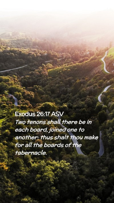 Picture 02 - Exodus 26:17 ASV Mobile Phone Wallpaper - Two tenons shall there be in each board, joined - Mobile Bible Verse Wallpaper