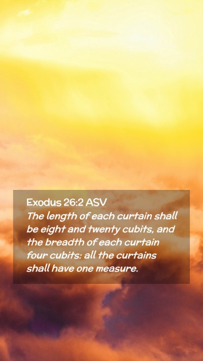 Picture 02 - Exodus 26:2 ASV Mobile Phone Wallpaper - The length of each curtain shall be eight and - Mobile Bible Verse Wallpaper