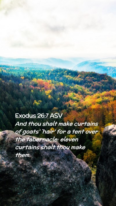 Picture 02 - Exodus 26:7 ASV Mobile Phone Wallpaper - And thou shalt make curtains of goats' `hair' for - Mobile Bible Verse Wallpaper
