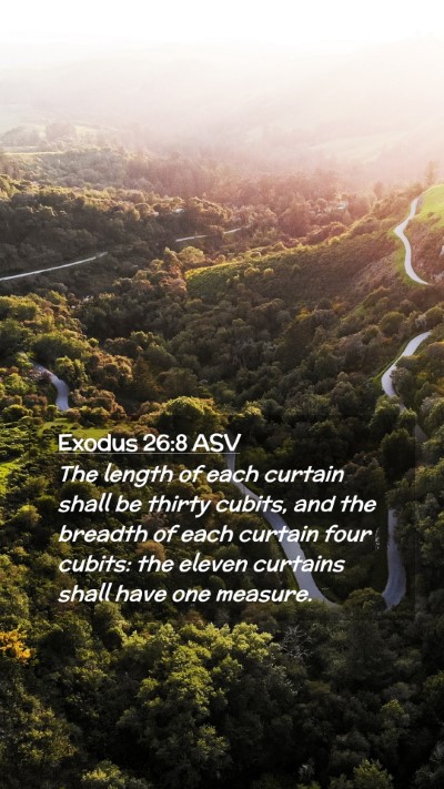 Picture 02 - Exodus 26:8 ASV Mobile Phone Wallpaper - The length of each curtain shall be thirty - Mobile Bible Verse Wallpaper