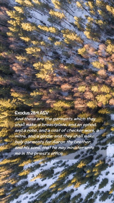 Picture 02 - Exodus 28:4 ASV Mobile Phone Wallpaper - And these are the garments which they shall make: - Mobile Bible Verse Wallpaper