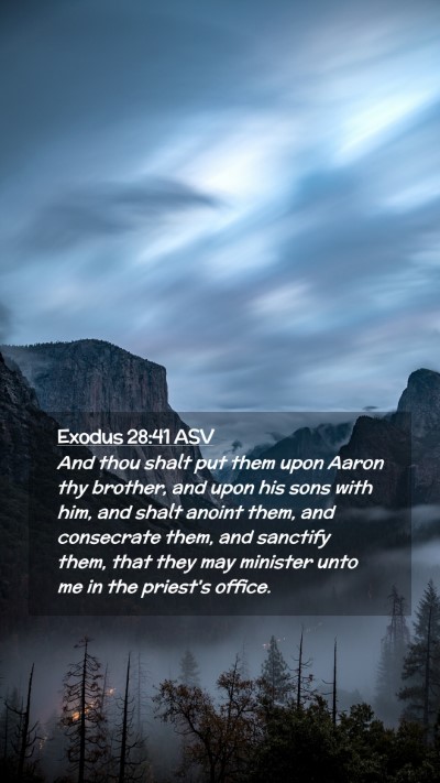 Picture 02 - Exodus 28:41 ASV Mobile Phone Wallpaper - And thou shalt put them upon Aaron thy brother, - Mobile Bible Verse Wallpaper