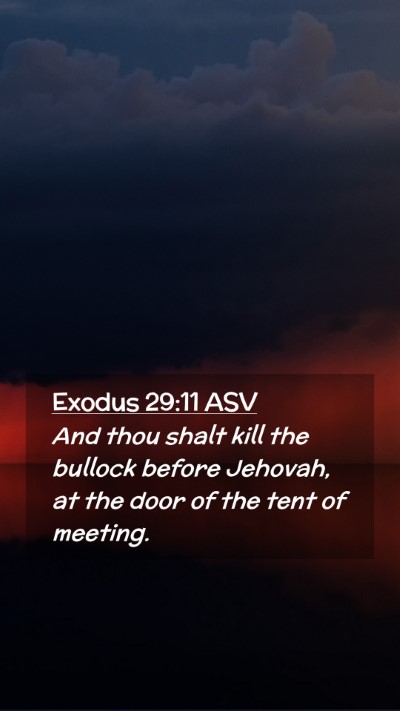 Picture 02 - Exodus 29:11 ASV Mobile Phone Wallpaper - And thou shalt kill the bullock before Jehovah, - Mobile Bible Verse Wallpaper
