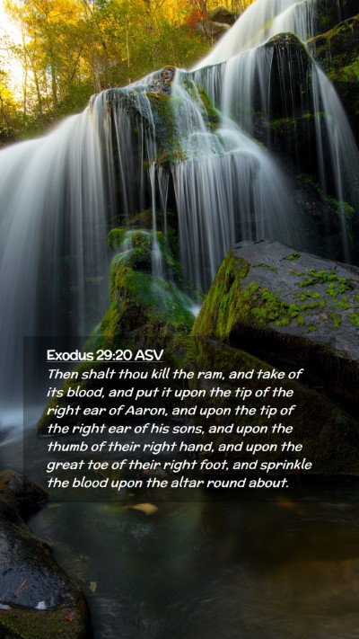 Picture 02 - Exodus 29:20 ASV Mobile Phone Wallpaper - Then shalt thou kill the ram, and take of its - Mobile Bible Verse Wallpaper