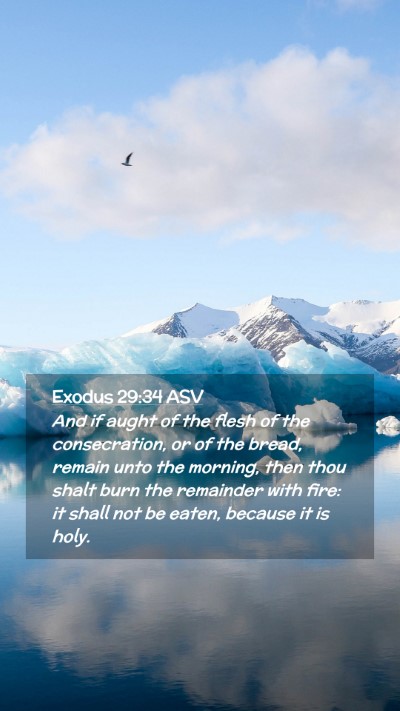 Picture 02 - Exodus 29:34 ASV Mobile Phone Wallpaper - And if aught of the flesh of the consecration, or - Mobile Bible Verse Wallpaper