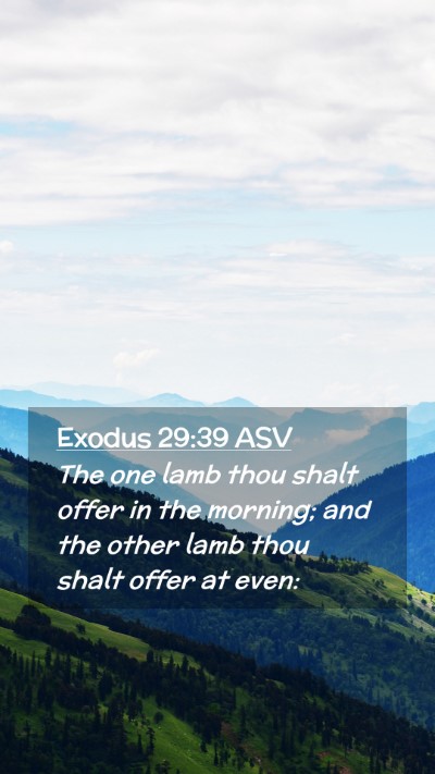 Picture 02 - Exodus 29:39 ASV Mobile Phone Wallpaper - The one lamb thou shalt offer in the morning; and - Mobile Bible Verse Wallpaper