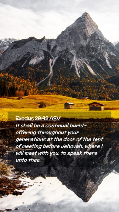 Picture 02 - Exodus 29:42 ASV Mobile Phone Wallpaper - It shall be a continual burnt-offering throughout - Mobile Bible Verse Wallpaper