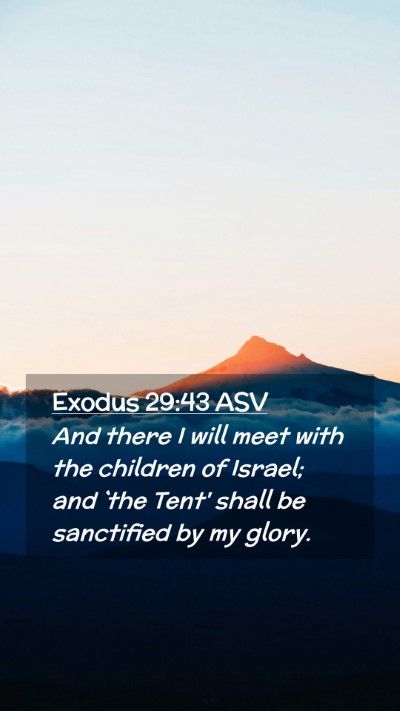 Picture 02 - Exodus 29:43 ASV Mobile Phone Wallpaper - And there I will meet with the children of - Mobile Bible Verse Wallpaper