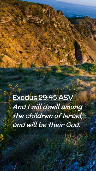 Picture 02 - Exodus 29:45 ASV Mobile Phone Wallpaper - And I will dwell among the children of Israel, - Mobile Bible Verse Wallpaper