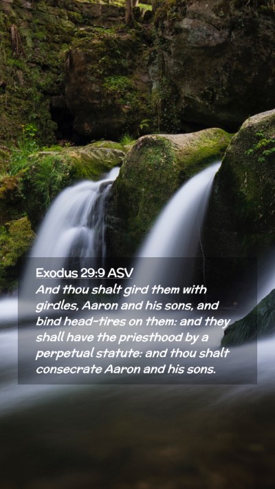 Picture 02 - Exodus 29:9 ASV Mobile Phone Wallpaper - And thou shalt gird them with girdles, Aaron and - Mobile Bible Verse Wallpaper