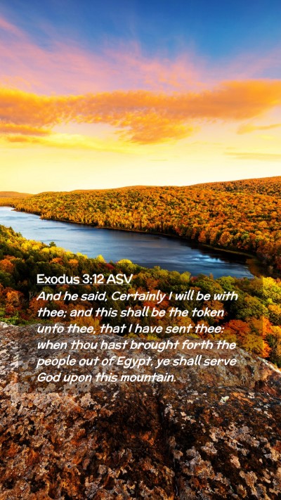 Picture 02 - Exodus 3:12 ASV Mobile Phone Wallpaper - And he said, Certainly I will be with thee; and - Mobile Bible Verse Wallpaper
