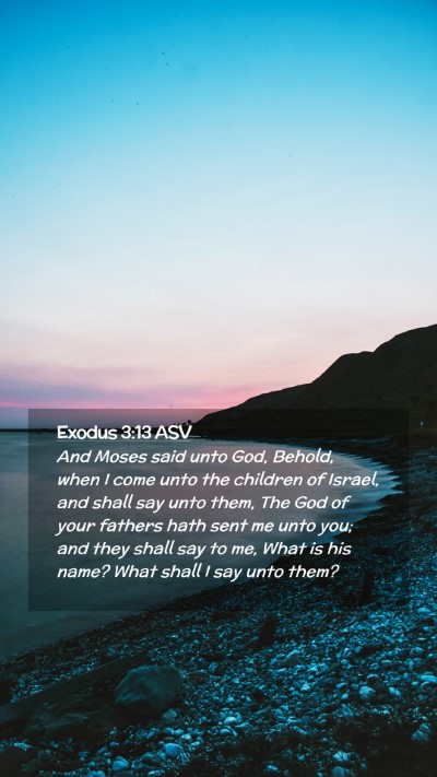 Picture 02 - Exodus 3:13 ASV Mobile Phone Wallpaper - And Moses said unto God, Behold, when I come unto - Mobile Bible Verse Wallpaper