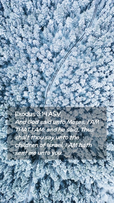 Picture 02 - Exodus 3:14 ASV Mobile Phone Wallpaper - And God said unto Moses, I AM THAT I AM: and he - Mobile Bible Verse Wallpaper