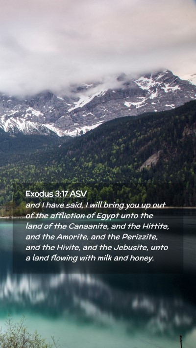 Picture 02 - Exodus 3:17 ASV Mobile Phone Wallpaper - and I have said, I will bring you up out of the - Mobile Bible Verse Wallpaper