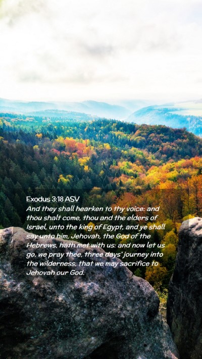 Picture 02 - Exodus 3:18 ASV Mobile Phone Wallpaper - And they shall hearken to thy voice: and thou - Mobile Bible Verse Wallpaper