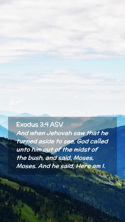 Picture 02 - Exodus 3:4 ASV Mobile Phone Wallpaper - And when Jehovah saw that he turned aside to see, - Mobile Bible Verse Wallpaper