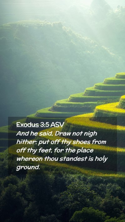 Picture 02 - Exodus 3:5 ASV Mobile Phone Wallpaper - And he said, Draw not nigh hither: put off thy - Mobile Bible Verse Wallpaper