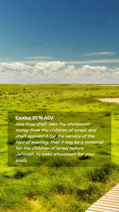 Picture 02 - Exodus 30:16 ASV Mobile Phone Wallpaper - And thou shalt take the atonement money from the - Mobile Bible Verse Wallpaper