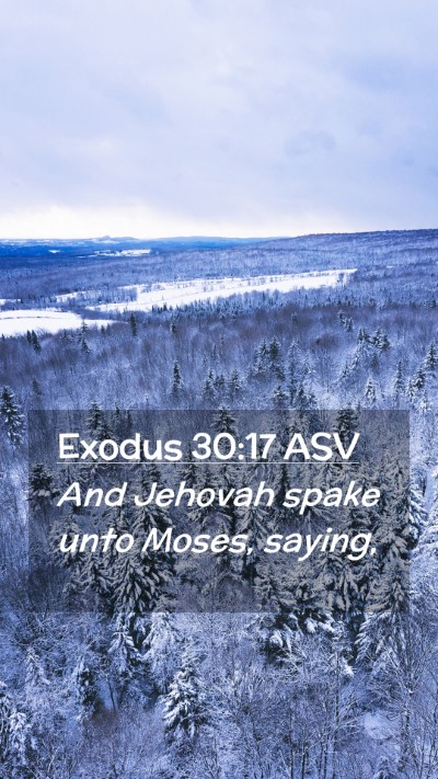 Picture 02 - Exodus 30:17 ASV Mobile Phone Wallpaper - And Jehovah spake unto Moses, - Mobile Bible Verse Wallpaper