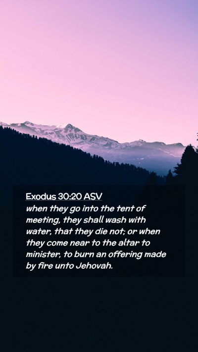 Picture 02 - Exodus 30:20 ASV Mobile Phone Wallpaper - when they go into the tent of meeting, they shall - Mobile Bible Verse Wallpaper