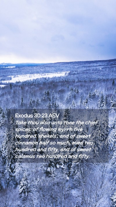 Picture 02 - Exodus 30:23 ASV Mobile Phone Wallpaper - Take thou also unto thee the chief spices: of - Mobile Bible Verse Wallpaper