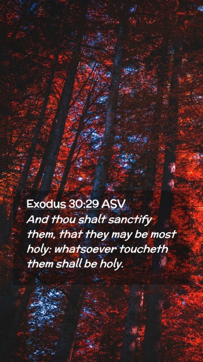 Picture 02 - Exodus 30:29 ASV Mobile Phone Wallpaper - And thou shalt sanctify them, that they may be - Mobile Bible Verse Wallpaper