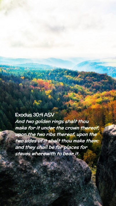 Picture 02 - Exodus 30:4 ASV Mobile Phone Wallpaper - And two golden rings shalt thou make for it under - Mobile Bible Verse Wallpaper