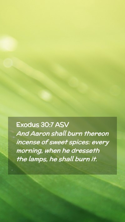 Picture 02 - Exodus 30:7 ASV Mobile Phone Wallpaper - And Aaron shall burn thereon incense of sweet - Mobile Bible Verse Wallpaper