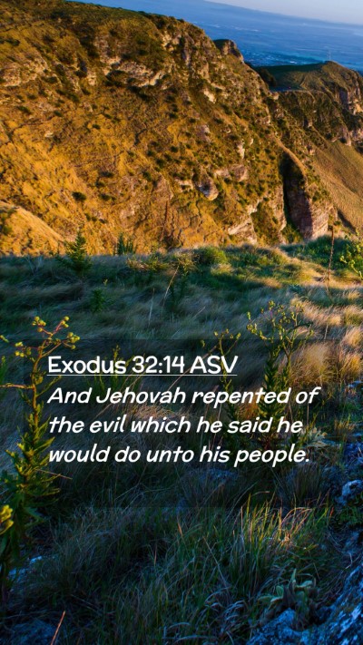 Picture 02 - Exodus 32:14 ASV Mobile Phone Wallpaper - And Jehovah repented of the evil which he said he - Mobile Bible Verse Wallpaper
