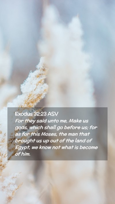 Picture 02 - Exodus 32:23 ASV Mobile Phone Wallpaper - For they said unto me, Make us gods, which shall - Mobile Bible Verse Wallpaper