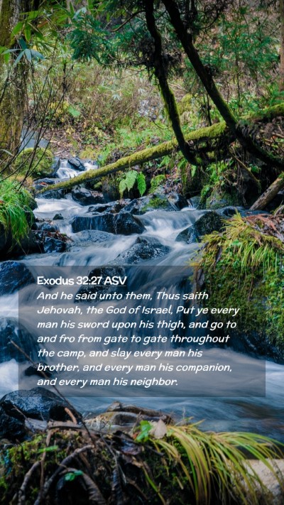 Picture 02 - Exodus 32:27 ASV Mobile Phone Wallpaper - And he said unto them, Thus saith Jehovah, the - Mobile Bible Verse Wallpaper